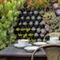 Green4Air 12 Pod Greenwall Vertical Gardening Starter Pack Alternative Image