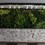 Green4Air 12 Pod Greenwall Vertical Gardening Starter Pack Alternative Image