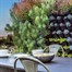 Green4Air 12 Pod Greenwall Vertical Gardening Starter Pack Alternative Image