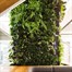 Green4Air 12 Pod Greenwall Vertical Gardening Starter Pack Alternative Image