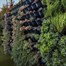 Green4Air 12 Pod Greenwall Vertical Gardening Starter Pack Alternative Image