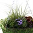 Hanging Seasonal Bedding Feather Mossed Basket 12 Inches - Summer Alternative Image