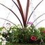 Hanging Seasonal Bedding Feather Mossed Basket 14 Inches - Summer Alternative Image