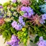 Pastel Meadow Hand Tied Bouquet - Premium Alternative Image