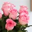 Pink Rose Letter Box Flowers Alternative Image