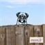 Primus Metal Pug Peeking Dog Garden Decor Silhouette (PF1023) Alternative Image