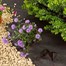 Smart Garden G50 Anti-Weed Fabric - 1 x 15m (7015003) Alternative Image
