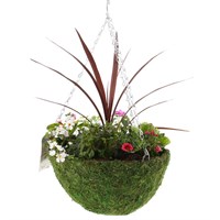 Hanging Seasonal Bedding Feather Mossed Basket 14 Inches - Summer