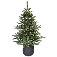 Portland Fir 1.2m (4ft) Shasta Fir Potted Pre Lit Artificial Christmas Tree (EB168C)