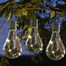 Smart Garden Eureka! Lightbulb Lantern (1080920)