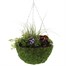 Hanging Seasonal Bedding Feather Mossed Basket 12 Inches - Summer