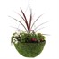 Hanging Seasonal Bedding Feather Mossed Basket 14 Inches - Summer