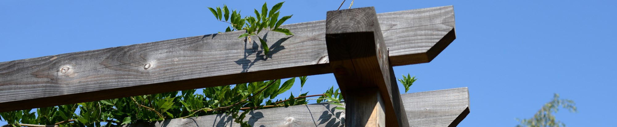 Garden Structures